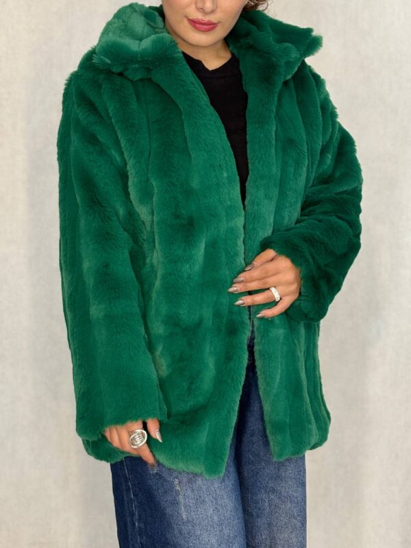 پالتو پوست - Image 1